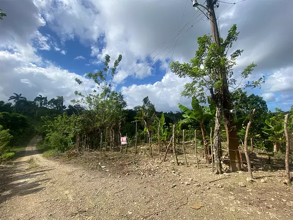 solares y terrenos - Solar de venta en Cabrera 1