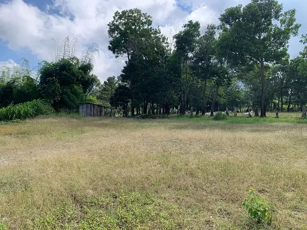 solares y terrenos - Terreno en venta, perfecto para la construcción de villas 1