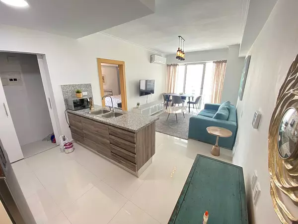 apartamentos - Alquilo apartamento amueblado en Piantini 8