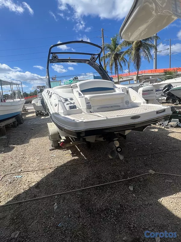 botes - bote chaparral 26 pie 6