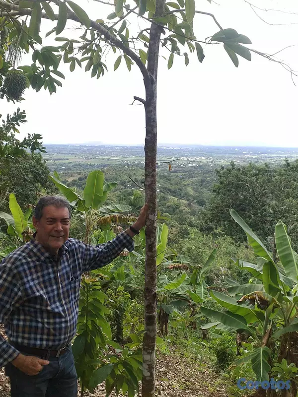solares y terrenos - Se vende finca en montaña de Moca, las lagunas ideal para cabañas o villas  9