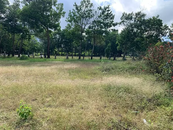 solares y terrenos - Terreno en venta, perfecto para la construcción de villas 2
