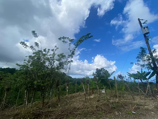 solares y terrenos - Solar de venta en Cabrera 3