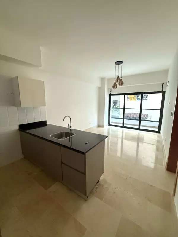 apartamentos - Alquilo Apartamento En Piantini 3