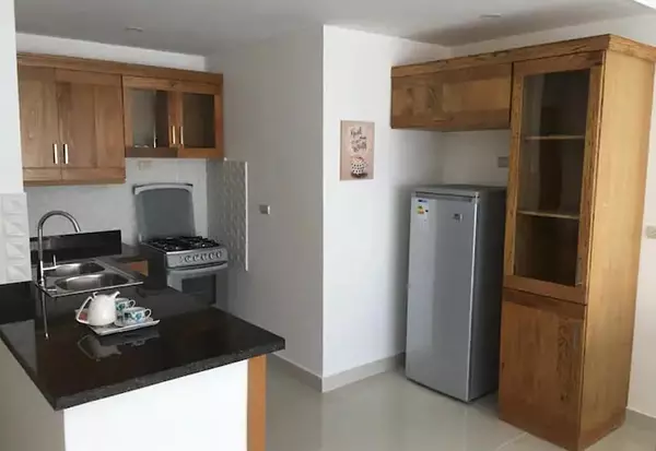 apartamentos - ALQUILO EN EL MILLON 2