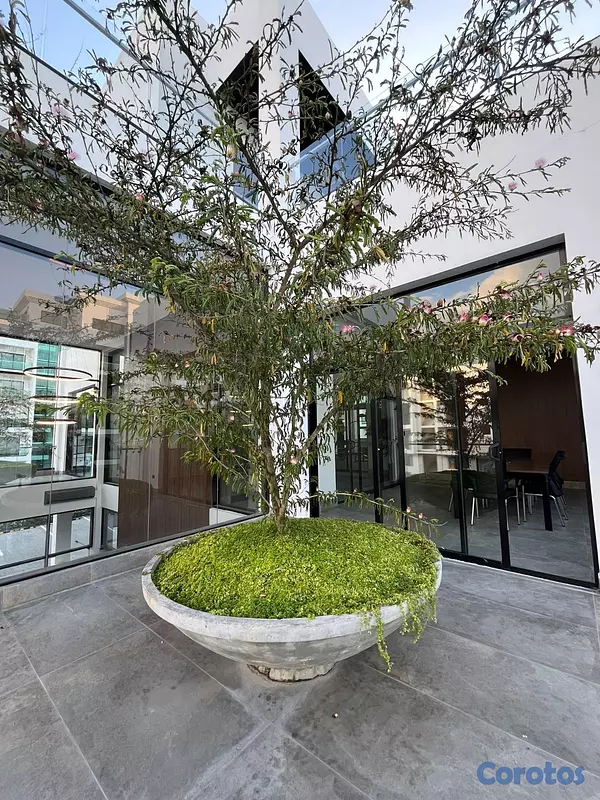 apartamentos - Apartamento Disponible para Venta y/o Renta en Mon 2