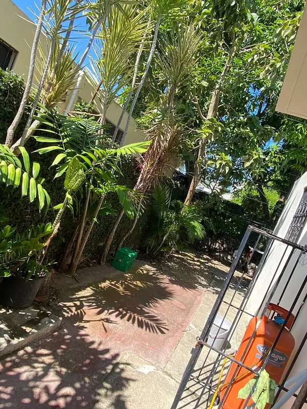 casas - Casa en Los Laureles, Santiago 3