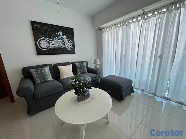 apartamentos - Apartamento en Alquiler en Piantini Amueblado de U 14