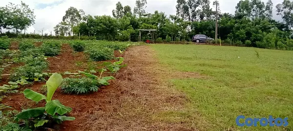 solares y terrenos - Vendo Hermoso Terreno/Finca en Villa Altagracia, Proyecto Hacienda Maria.  6
