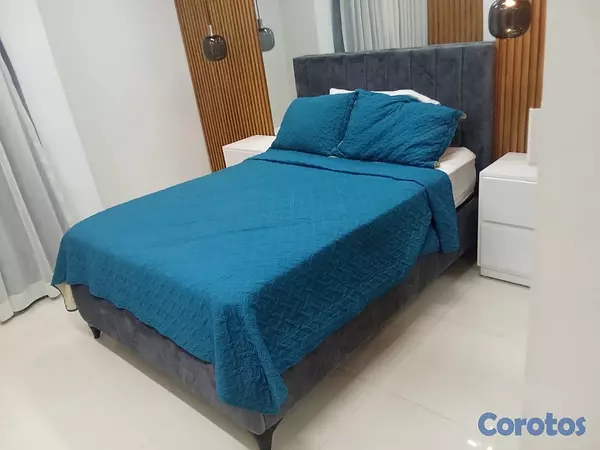 apartamentos - Hermoso Apartamento Amplio Amueblado en Alquiler – Avenida España.
 6