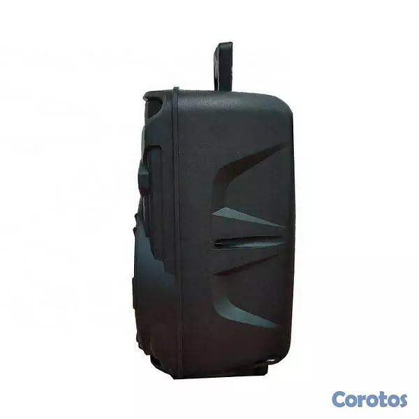 otros electronicos - Bocina portatil de 8 pulgadas con microfono KTS-1176 3