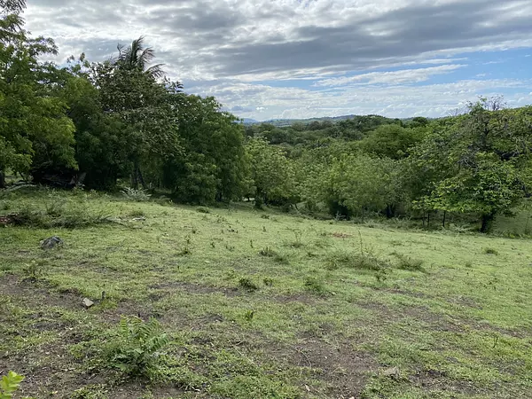 solares y terrenos - finca ganaderas en puerto plata  7