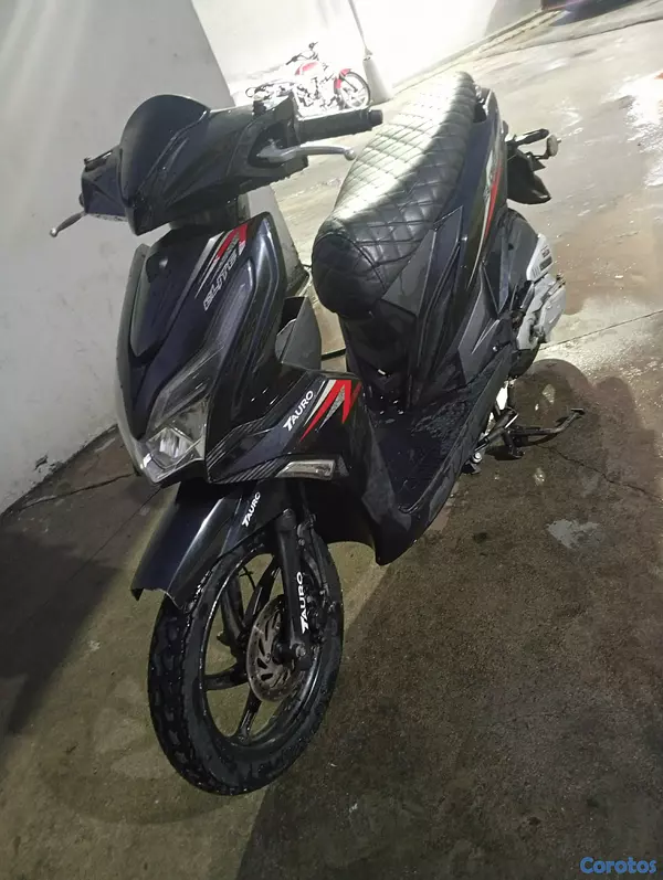 motores y pasolas - Tauro Elite 110 8