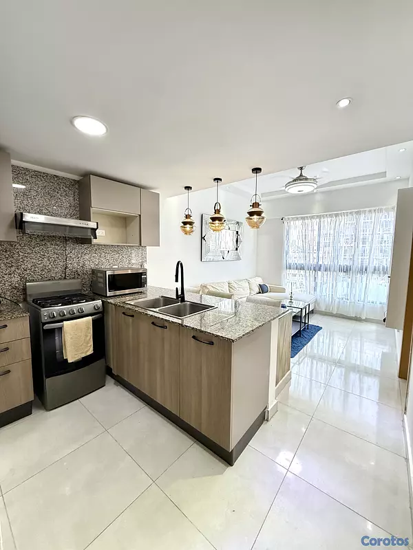 apartamentos - SE ALQUILA APT. en TORRE MODERNA TOTALMENTE AMUEBLADO en EVARISTO MORALES 4