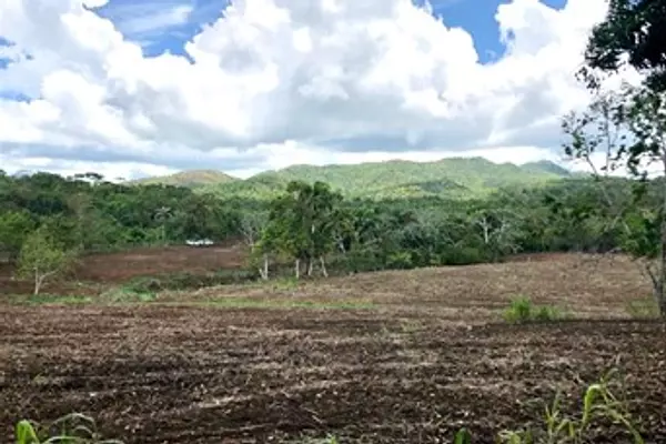 otros inmuebles - Vendo Finca en Monte Plata  7