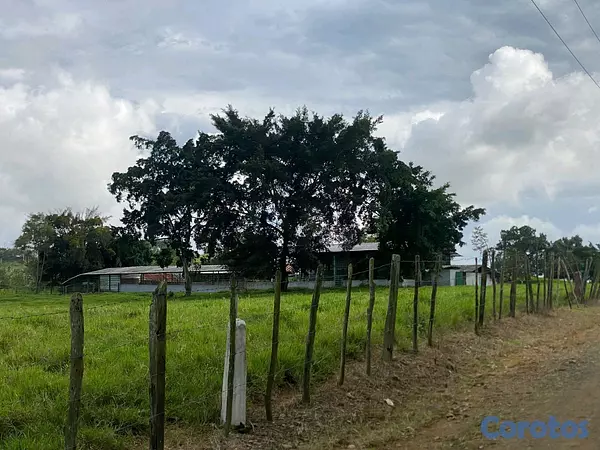 solares y terrenos - finca de 3600 tareas llanas de ganadería en cotui  5