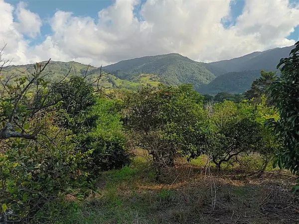 solares y terrenos - Terreno en Venta en JARABACOA 
 4