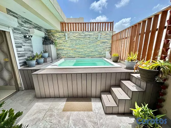 penthouses - Vendo PENTHAUSE en el Millón  14
