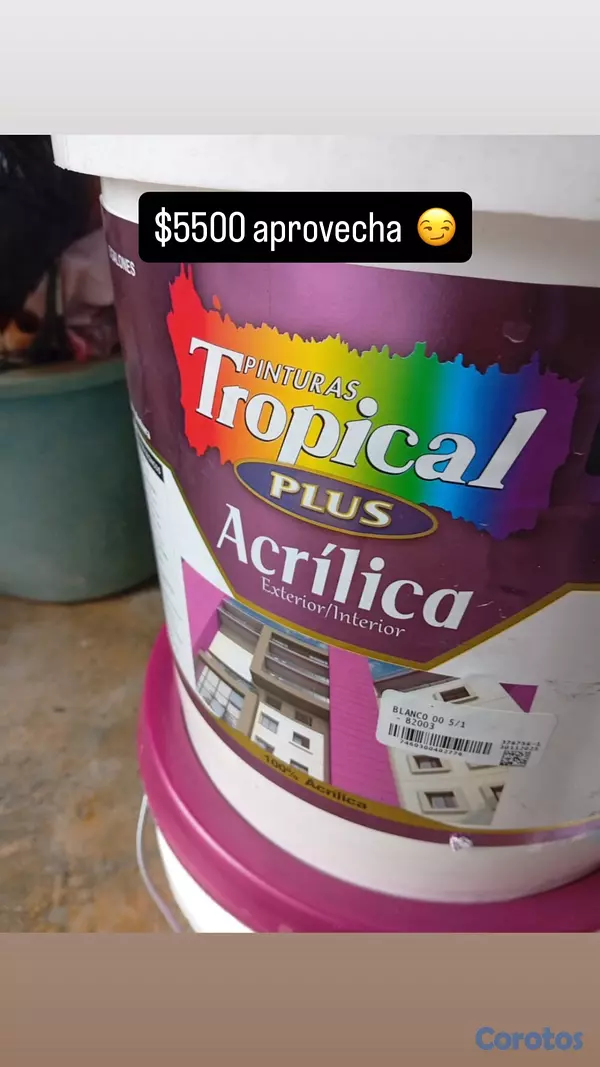 decoración y accesorios - Pintura acrílica  2