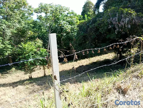 solares y terrenos - VENDO terreno en el Vacacional Matua 7