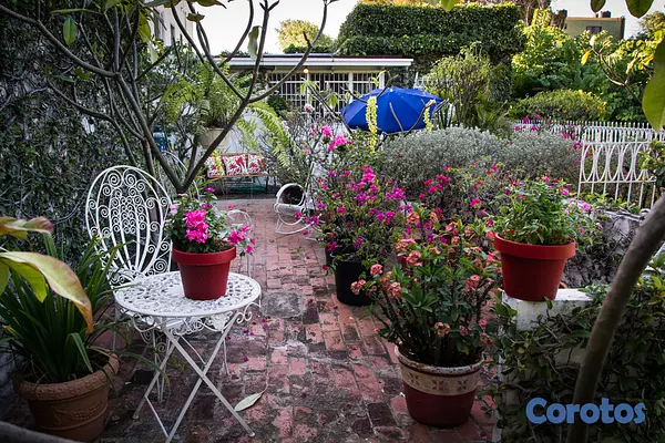 apartamentos - Apartamento estudio amueblado Gazcue con Terraza  8
