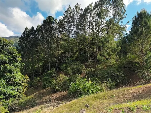 solares y terrenos - Terreno en Venta en JARABACOA 
 5