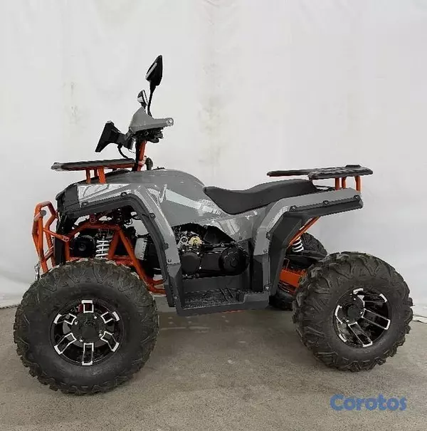 vehiculos recreativos - FOUR WHEEL RAMSCO-RM54-200CC 5