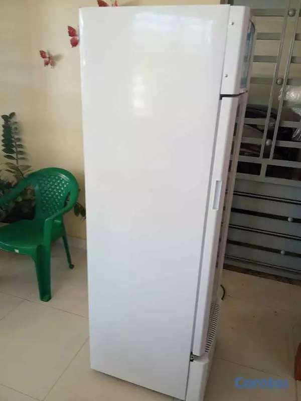 equipos profesionales - Vendo Refrigerador exhibidor Midea Negociable. 250 3