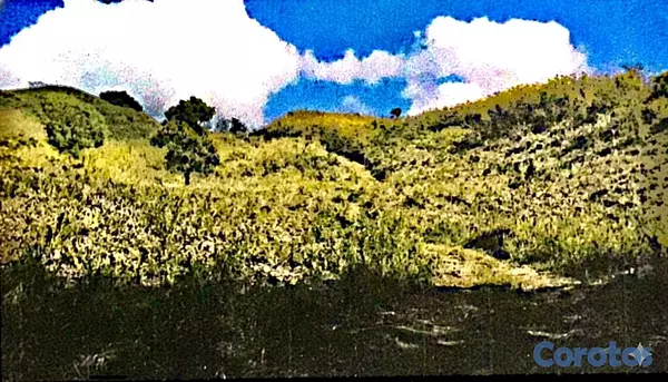 solares y terrenos - finca de 729 tareas en san José de las matas  9