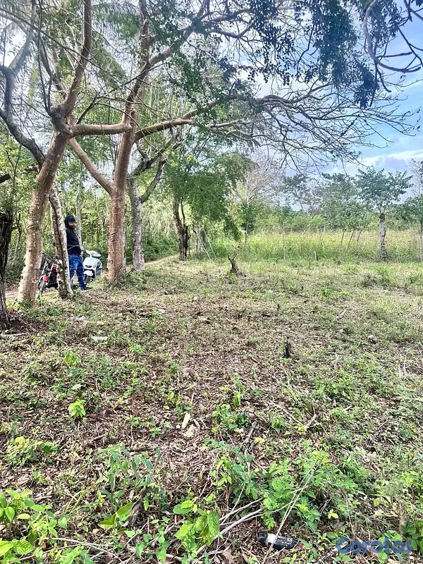 solares y terrenos - Terreno ( Finquita) 700 metros ubicado en bajos de Haina , sector el carril . 5
