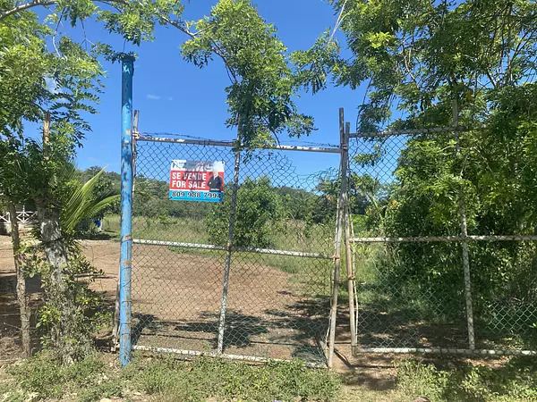 solares y terrenos - finca de 20 tareas en la piragua imbert  9