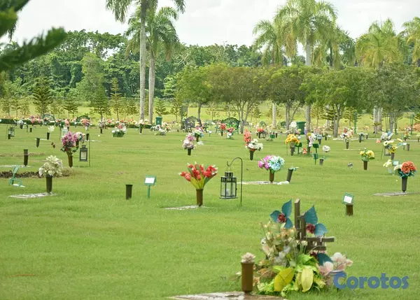 otros inmuebles - ¡OPORTUNIDAD! Nicho en Cementerio Parque Puerta de 2