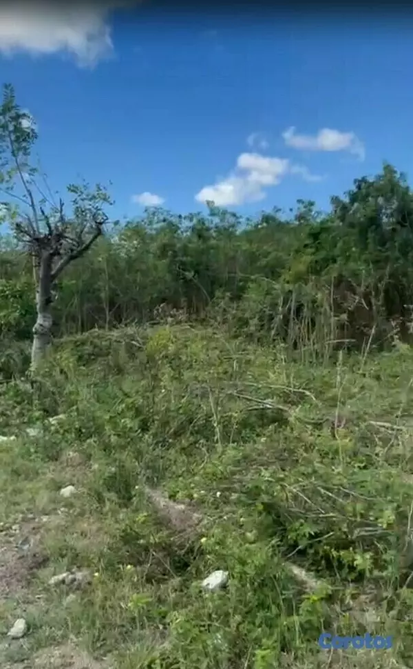 solares y terrenos - Solar Constanza uso varios desde 980 mts  4