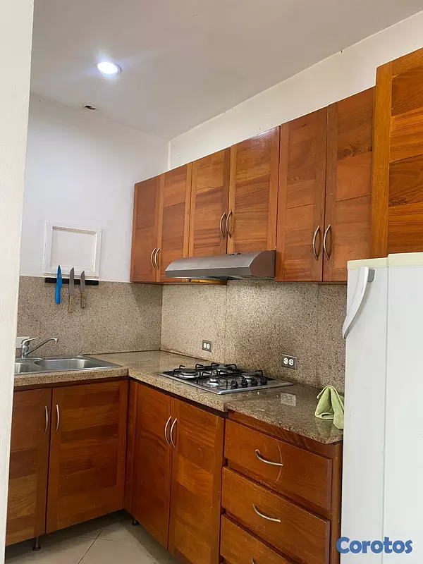 apartamentos - Apartamento de 1 habitacion Zona Colonial 4
