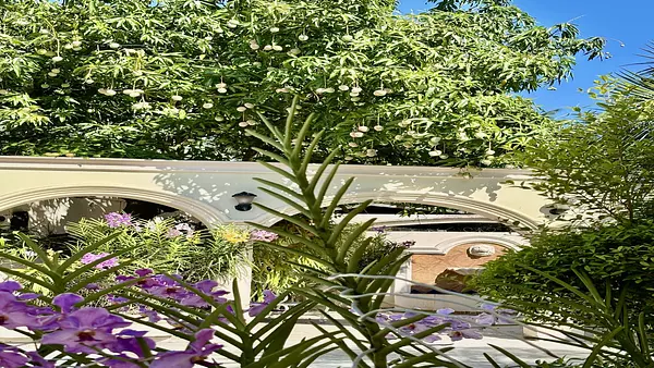 casas - Se vende hermosa residencia en el exclusivo sector de Los Pinos en Arroyo Hondo 8