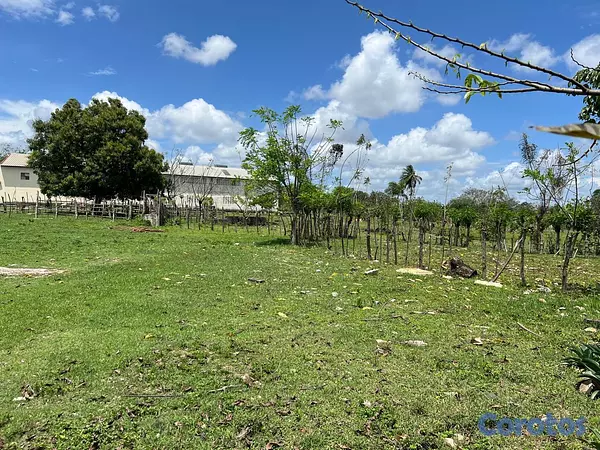 solares y terrenos - Vendo Terreno para NAVES en PEDRO BRAND, 45,881 Mt 2