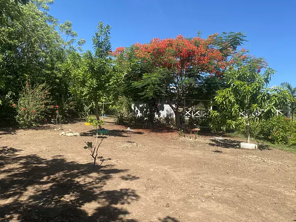 solares y terrenos - finca de 20 tareas en la piragua imbert  10