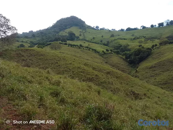 solares y terrenos - finca de 450 tareas con vocación ganadera en yamasa  9