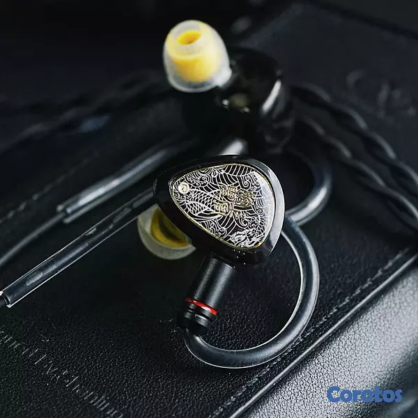 camaras y audio - Tangzu Waner SG 2 auriculares IEM 10mm DD jack 3.5mm y type C con Mic disponible 5