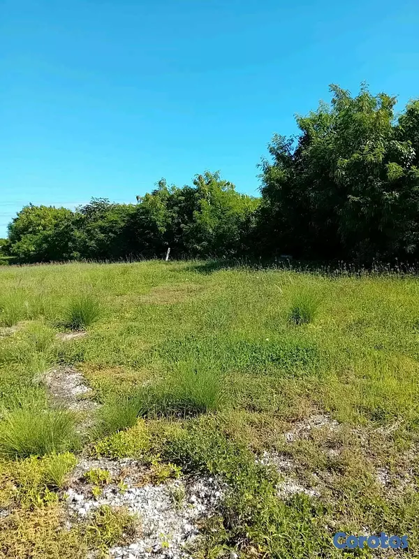 solares y terrenos - Venta de Terreno ( Cap Cana)  4