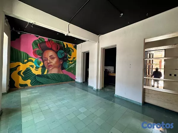 oficinas y locales comerciales - Local Zona Colonial Alquiler 402 metros 7