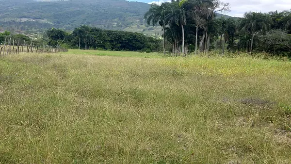 solares y terrenos - Terreno en Venta en las Matas de farfan 5