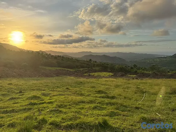 solares y terrenos - 🌿 Tropical Breeze Cupey – Proyecto Ecológico de 3