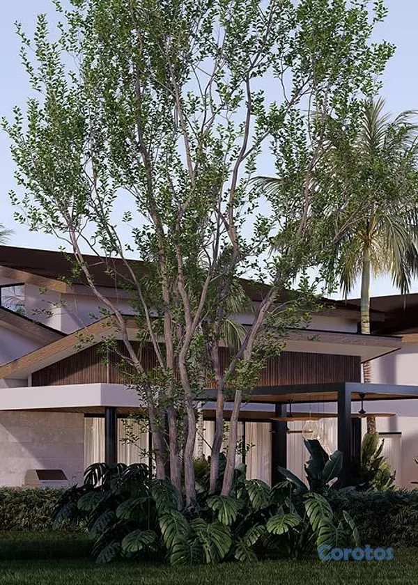 casas vacacionales y villas - Villa de lujo EN VENTA en Casa de Campo, La Romana | 6