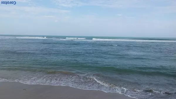 solares y terrenos - Gran Solar en Uvero Alto Punta Cana con Playa  4