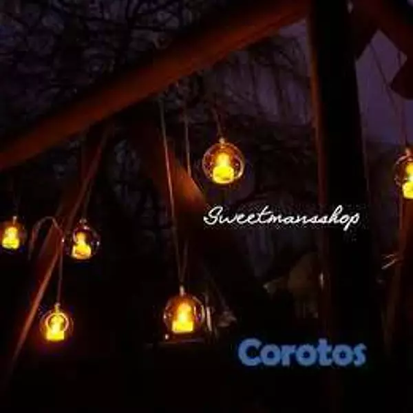 decoración y accesorios - Set 4 Esferas Colgantes para Suculentas – Decoraci 3