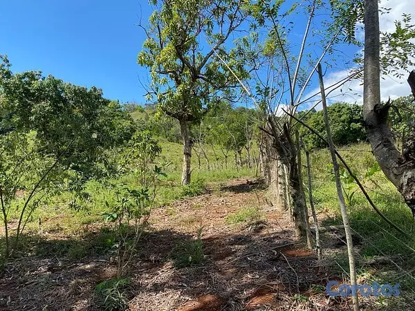 solares y terrenos - Terreno en venta en San Cristobal 9