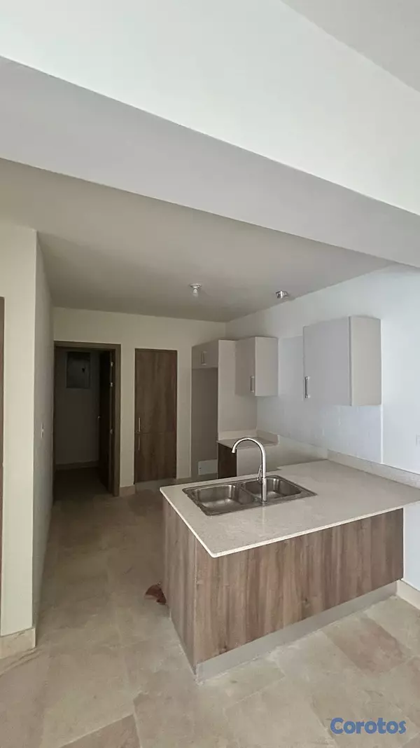 apartamentos - Apartamento en Alquiler en Serrallés 1 Habitación  4