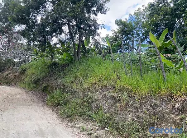 solares y terrenos - TERRENO EN VENTA – JAMAMÚ, SAN JOSE DE LAS MATAS 3