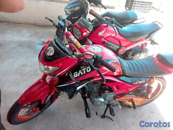 motores y pasolas - Super gato 300cc racing full accesorios  5